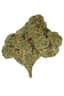 Cheddar Cheeze Buds 3.50 Gram
