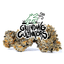 Lemon Sherbet Buds 3.50 Gram