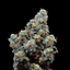 Rainbow Haze Buds 3.50 Gram