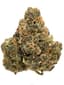 Point Break Buds 3.50 Gram