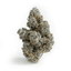 Oreoz Buds 3.50 Gram