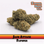 Jack Attack Buds 3.50 Gram