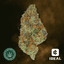 Triple Burger Buds 3.50 Gram
