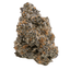 Platinum Lemon Cherry Gelato Buds 3.50 Gram