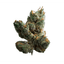 Sugar Cookies Buds 7 Gram