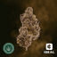 Hashburger Buds 3.50 Gram