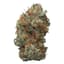 Silver Jack Buds 3.50 Gram