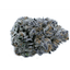 Runtz Buds 7 Gram
