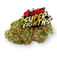 Champaya Buds 4 Gram