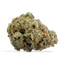Garlic Jelly Buds 28 Gram