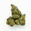 Blueberry Jiu Jitsu Buds 3.50 Gram