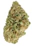 Jean Guy Buds 28 Gram