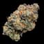 Pancakes Buds 3.50 Gram