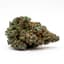 Tamarindo Buds 14 Gram