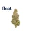 Florida Frost Point Buds 3.50 Gram