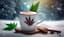 Peppermint Bar Cbd 20 Mg