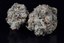 Blue Dream Buds 3.50 Gram