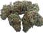 Passion Pit Buds 28 Gram