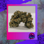 Babysita Buds 3.50 Gram