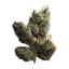 Sugar Cookies Buds 14 Gram