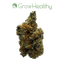 Madfruit Buds 3.50 Gram