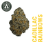 Cadillac Rainbow Buds 3.50 Gram