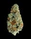 Tamarindo Buds 3.50 Gram