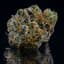 Gmo Buds 28 Gram
