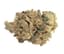 Pink Bubba Buds 14 Gram