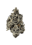 Tropical Infusion Buds 28 Gram