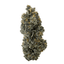 Sherb Cream Pie Buds 3.50 Gram