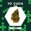 Yoda Soda Buds 2.83 Gram