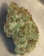 Smoothie Buds 28 Gram