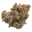 Lazer Jet Buds 7 Gram