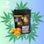 Mango Gummies 50 Mg