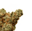 Sour Tangie Buds 3.50 Gram