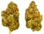 Zeven Eleven Buds 3.50 Gram