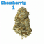 Chemberrly Buds 28 Gram
