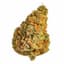 Orange Creamsicle Buds 7 Gram
