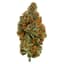 California Black Roze Buds 3.50 Gram