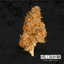 Sour Z Buds 3.50 Gram