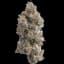 Orange Buds 3.50 Gram