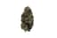 Astro Pop Buds 3.50 Gram