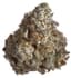 Jah Magic Buds 70 Gram