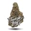 Sour Punch Buds 3.50 Gram
