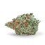 Mac Buds 3.50 Gram