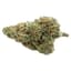 Super Glue Buds 7 Gram