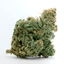 Blue Dream Buds 1 Gram