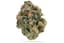 Helium Buds 3.50 Gram