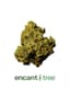 Moonshine Buds 7 Gram